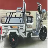 飞鸽 电动三轮车金星 32A 48V