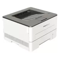 奔图(PANTUM)P3019D黑白激光打印机黑白激光打印机wifi打印 DMS