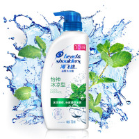 海飞丝(Head & Shoulders)洗发水怡神冰凉薄荷750ml 持久去屑止痒清爽 男女通用 12瓶装
