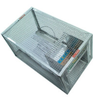 绿叶(Green Leaf) 易捕老鼠笼连续捕鼠器老鼠夹家用捕鼠笼