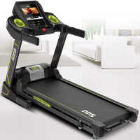 多德士(DDS)家用跑步机静音减震室内减肥健身器材多功能智能触控彩屏电动跑步机