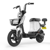 新日电动车成人电瓶车 新国标电动自行车 时尚都市代步车 48V锂电池 XC1