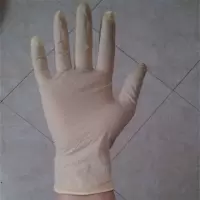 凯旋(KX) 劳防乳胶手套 50/盒20盒起发