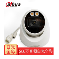 大华 (alhua) 网络摄像机 DH-IPC-HDW2233DT-A-LED 全彩系列200万全彩海螺双灯