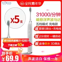 worms电动牙刷超声波美白情侣款充电式极光绿学生党男女超软毛成人牙刷 慕白灰标准版五档位配(原装5刷头+USB线)