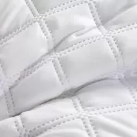 LOVO VTT5000 星梦辰羽毛枕（防钻绒）47*73cm 单个装