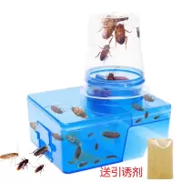绿叶（Green Leaf）蟑螂捕捉器蟑螂屋贴杀灭蟑螂苍蝇神器克星家用强力小蟑螂药一窝端 一盒送诱饵一包