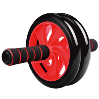 多德士(DDS)健腹轮腹肌轮双轮健身轮(含跪垫) 锻炼运动健身器材家用腹肌滚轮巨轮健腹器
