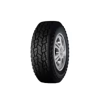 海大(Haida) 225/75R16LT 10PR 115/112R HD828越野车轮胎