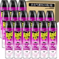 雷达(Raid) 杀虫气雾剂家用杀虫剂喷雾灭蚊子苍蝇除虫灭虫剂喷雾家用驱杀蚊虫小飞虫无香型600ml*24瓶/整箱