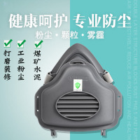 戴头式 防尘颗粒口罩 单个装
