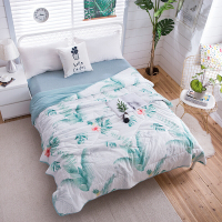 金丝莉(kintheri) 假日风情-负离子水洗被