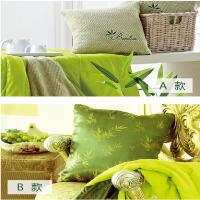 金丝莉(kintheri) 竹纤维靠垫被 JK-301 靠垫被 套装 两款可选 单套装