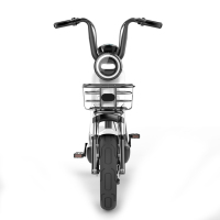 金穗慧采 企业定制 新日电动车成人电瓶车 新国标电动自行车XC1(包含两个头盔 两个雨衣) yc