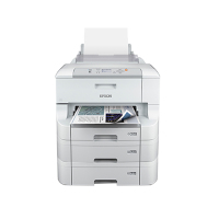 (DT)爱普生(Epson) WF-6093 A4幅面彩色商用墨仓式打印机 (标配+双纸盒)（计价单位：台）白色