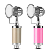 十盏灯 A1 主播网红声卡套装 奶瓶麦 唱歌录音直播专用设备 手机电脑通用 A1声卡T1麦克风、支架数据线、全套铝