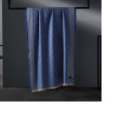 BOSS HUGO BOSS HBPJ-002 HUGO BOSS LOGO提花披肩(蓝) 单条价格