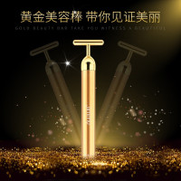 莱克(LEXY) HC-FM101 美容棒 单台装