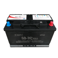 骆驼蓄电池 6-QWLZ-100(770)