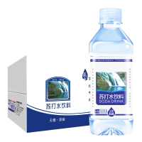 晋唐 栗子园苏打水360ml GN07 24瓶 65334