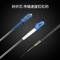 博扬(BOYANG)BY-Y7515S高速基战铠装光纤跳线室外防水防晒防鼠咬抗拉工程光纤线缆75米SC-LC单模单芯