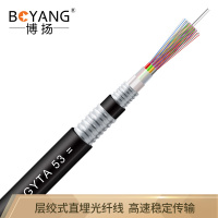 博扬(BOYANG)BY-GYTA53-48B1.3重铠地埋 48芯单模室外光缆GYTA53层绞式直埋光纤100米可定制
