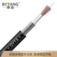 博扬（BOYANG）BY-GYTS-48B1铠装48芯单模室外光缆GYTS层绞式室外架空/管道网线光纤线3000米/轴办