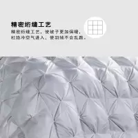 芳恩 奢华全棉白鹅绒被 FN-B480