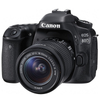 佳能(Canon) EOS 80D（18-55mm STM） 数码单反相机 单镜头套装 约2420万像素（XF）