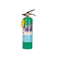 洪湖 MP2手提式水基型灭火器 2L水基泡沫灭火器家用公司仓库手提式灭火器