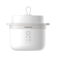 长虹(CHANGHONG)电炖盅DDZ-08HT
