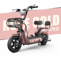 红蜂长跑王电动车新国标电瓶车电动自行车助力车 20A电池续航95公里