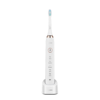 亚摩斯AS-TB09 电动牙刷 充电式超声波 防水软毛成人牙刷 家用防水