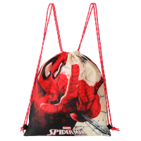 蜘蛛侠折叠背包MCD-HFP215