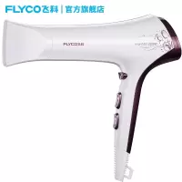 飞科（FLYCO） 电吹风机家用FH6272大功率负离子冷热风