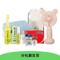 分包裹发货 100档套餐5(REMAX小风扇颜色随机+龙虎防暑送清凉套餐)