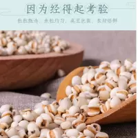 天山乐谷薏仁米小粒糯薏苡仁新鲜新货农家粗粮意500g