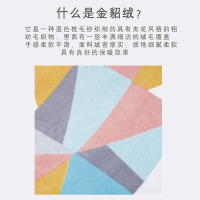 芳恩 七彩生活貂绒毯 FN-T9002