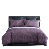 奥拉芙OLAF 伊凡磨毛四件套 OL-DZ602