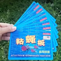 粘蝇板 苍蝇贴粘蚊虫板 捕蝇器黏苍蝇胶笼家用灭苍蝇粘蝇纸 10片装