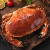 渔家庄黄金蟹400G