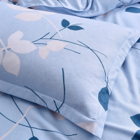 路易卡罗(Louiskellog) LK-3102 尚佳枕套 1对装 枕套 一对价格