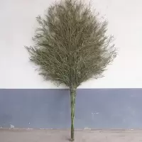 竹制品扫把 1米