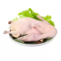 鸭子 5KG/件 (单位:件)