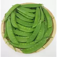 荷兰豆 45斤/件 (单位:件)