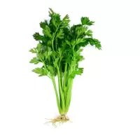 麦芹 25斤/件 (单位:件)