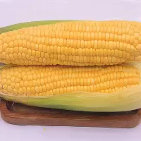 玉米 50斤/件 (单位:件)