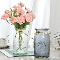 创意欧式玻璃花瓶 透明彩色水培植物玻璃工艺花瓶