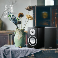 雅马哈 NS-BP401(对) 书架音箱 2.0声道桌面式HiFi音箱 家用音响设备 钢琴漆饰面原木箱体(黑色)