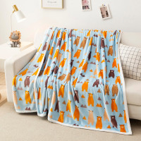 美缘登 北极雪貂绒毯 200*230cm